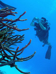Hotel Mayarí, 	Scuba Diving 